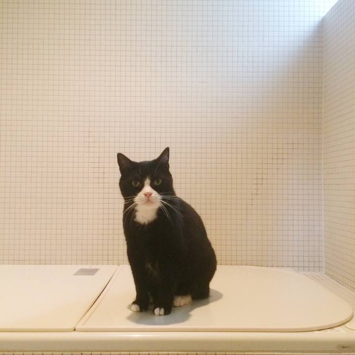 A7ba652b a1e9 4e29 8feb 6164747407c7