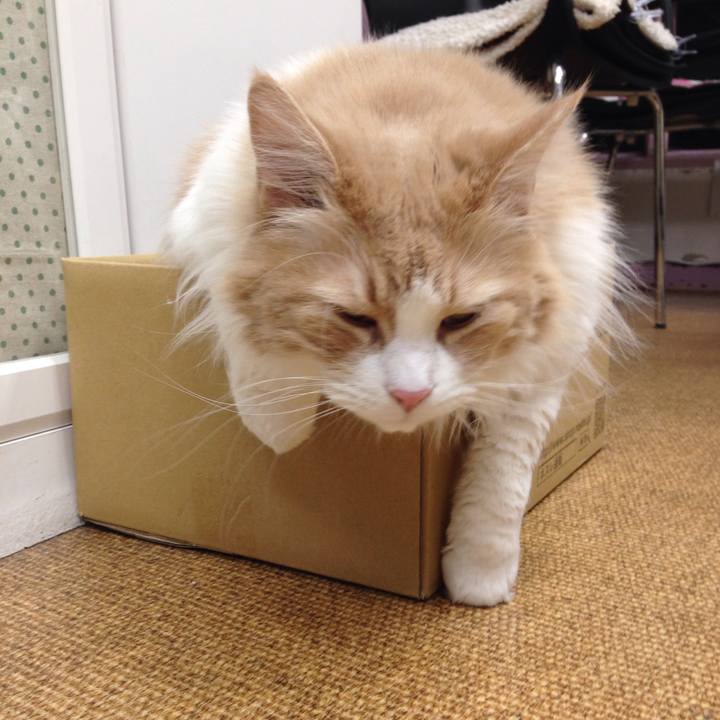 A7bae393 d537 4c85 ba29 45b7b650a9b7