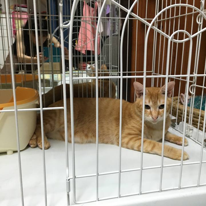 A7bb6b8d 8223 4cb6 80ee ba7352620200