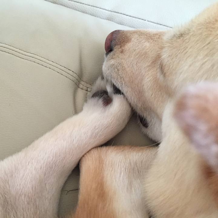 A7bbf67e 7ab7 4425 8f5b 75a0d0465d3a