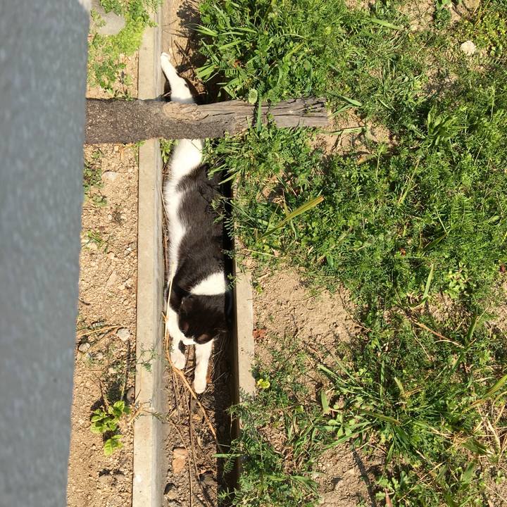 A7bcce11 f3e9 47bd 996a 48a8d5bfdb81