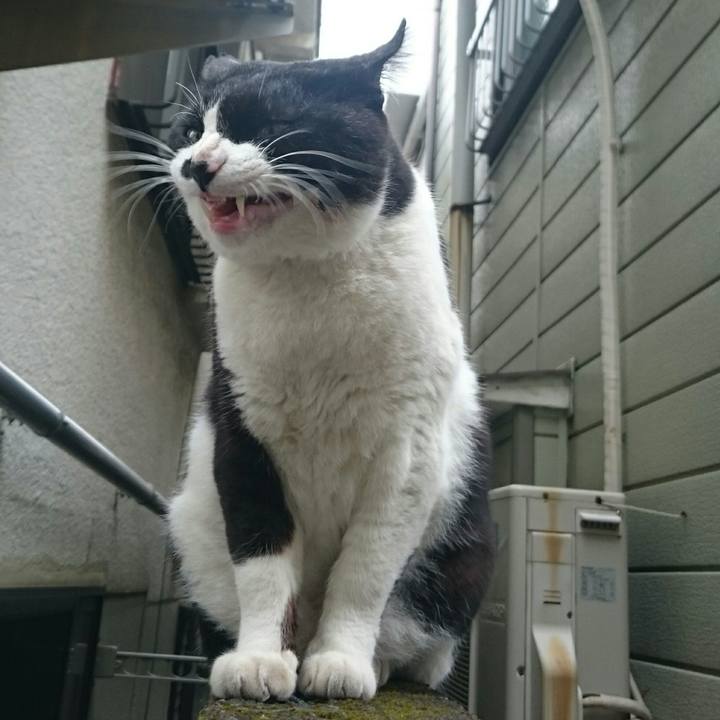 A7bcd10d a6e8 4a47 82b8 ec930694c959