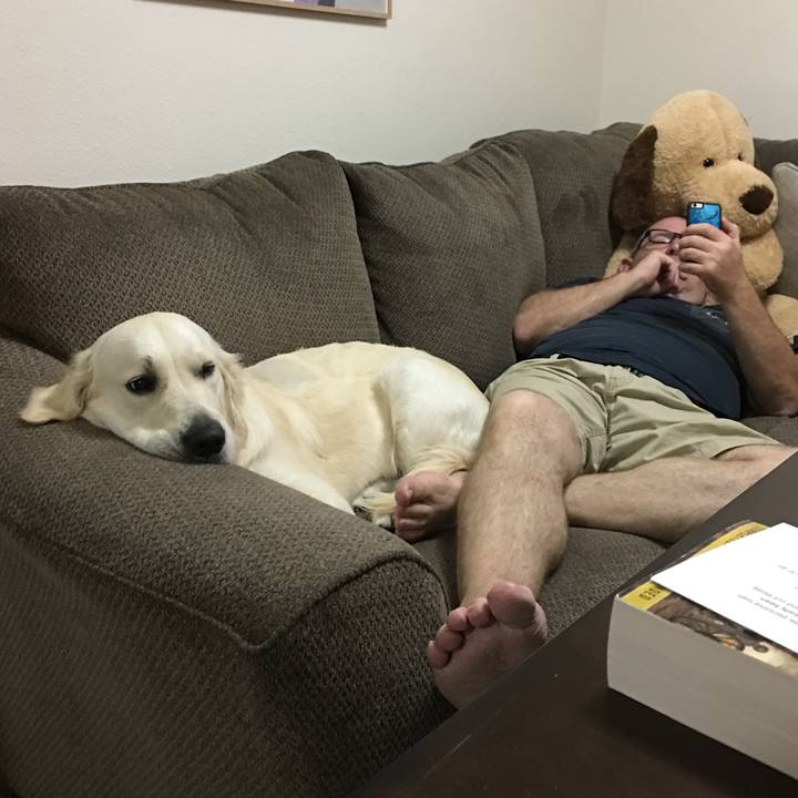 A7bcd194 abca 4867 9fe5 f12b06e45b3a