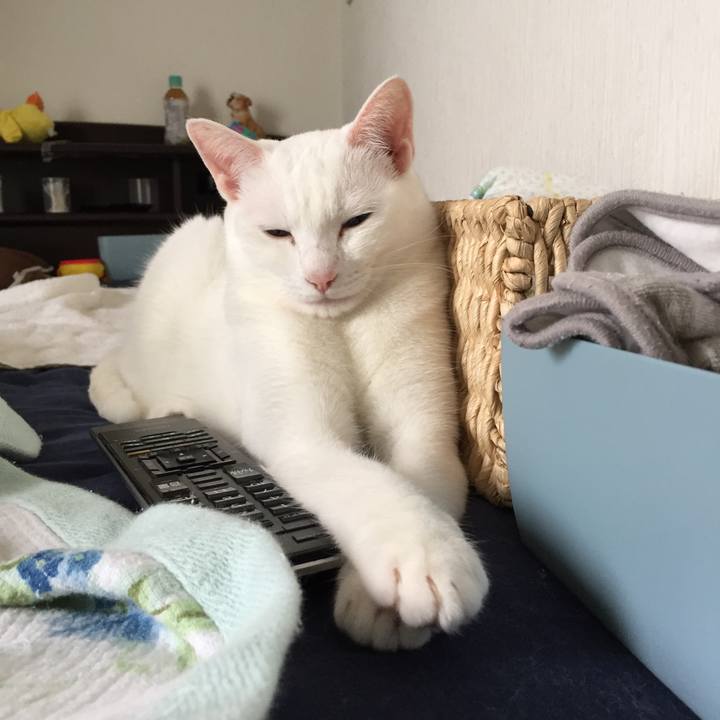 A7bcfd21 9f49 4e9e 8ae4 7b75b152e331