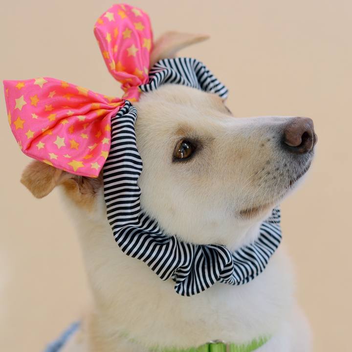 A7bd206c 19bb 4f33 8748 984f0298fbca