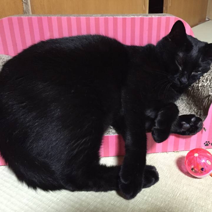 A7bd86c2 4372 4ec3 af62 a9b15ed06adb