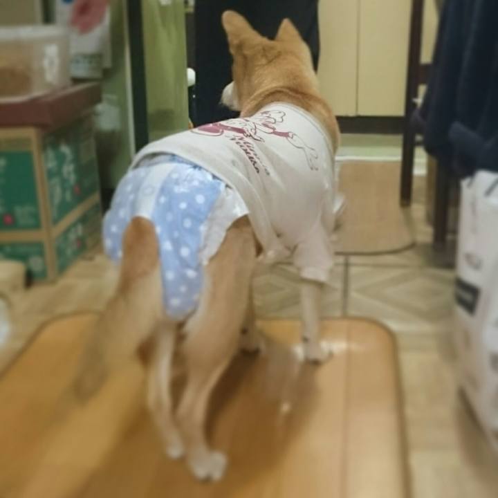 A7be26c4 7036 474c a39c 1bb9a336b197