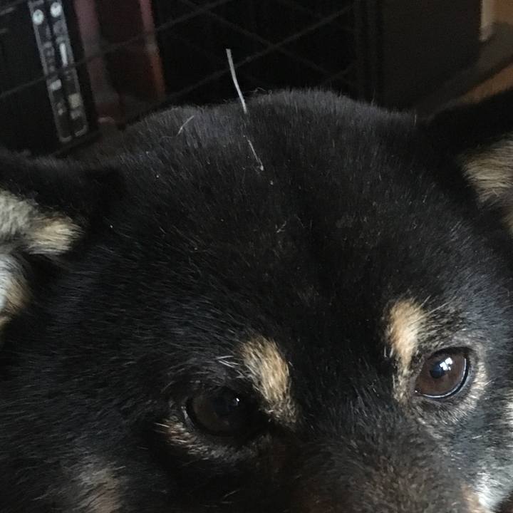 A7be5521 7e19 4297 ab19 84982b11fff7