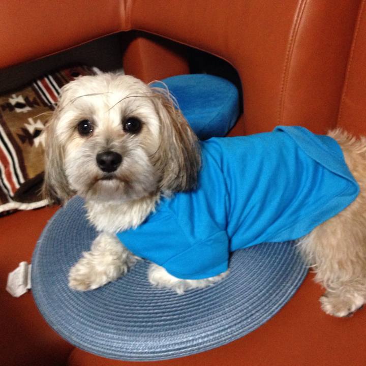 A7bea5c1 01dc 476f ba4b b9bcdeeda26d