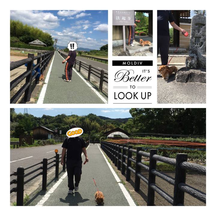 A7bea830 fb7c 4d66 b89e d44edf386419