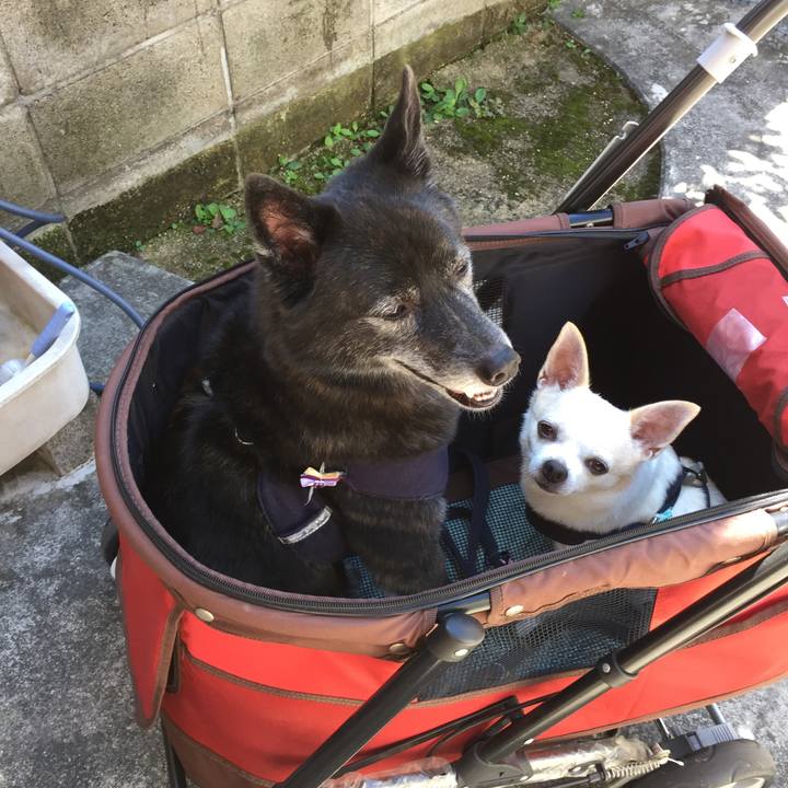 A7bec814 fe48 4ffe b2cc 2d50061e33af