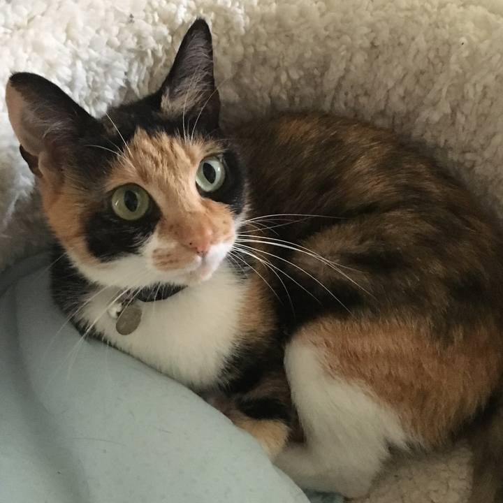 A7bf493f bda9 4f96 9f64 c9e05c0d4178