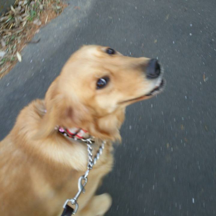 A7bf60c2 900c 43a6 8b64 266d3d9dcc44