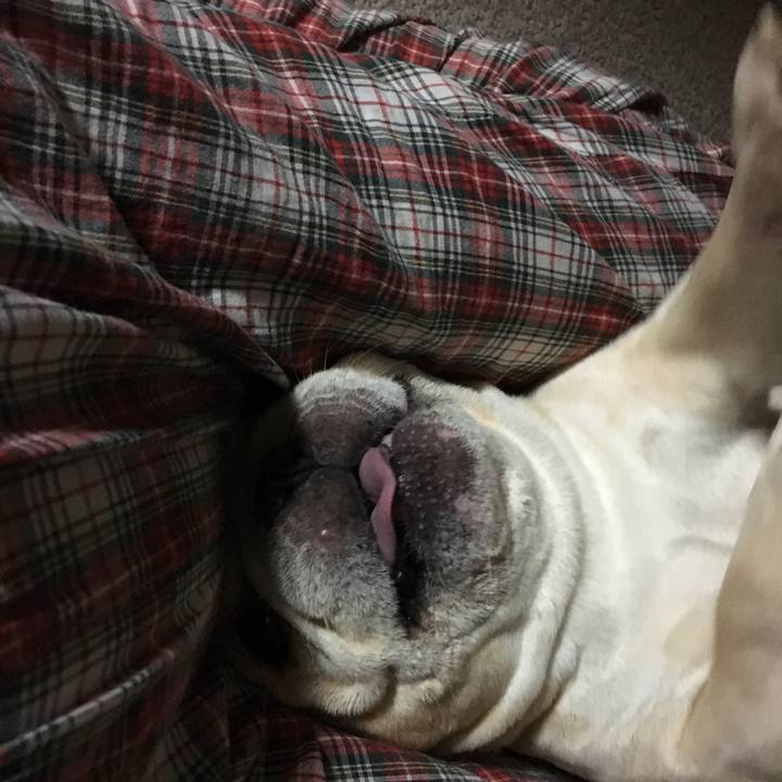 A7bf795e 22c2 4658 a1a5 48ee284c9495