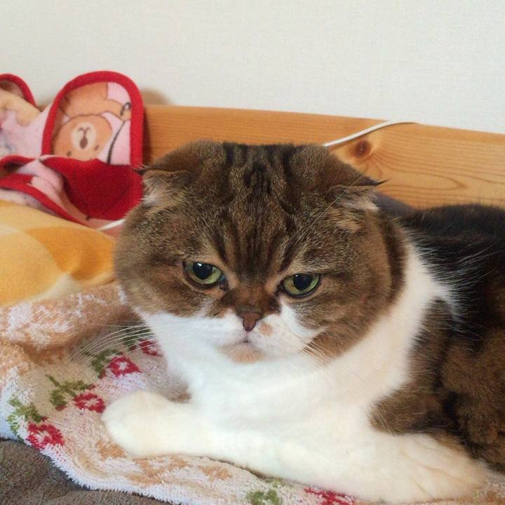 A7bf94b4 4c87 463d 9e22 5989e230f1fe