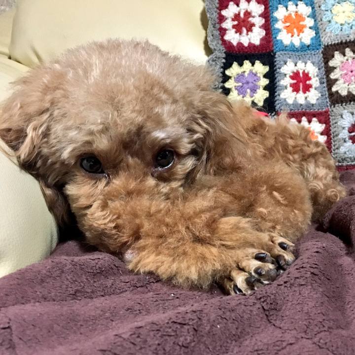 A7bfc6fb 8818 475d 99ce 9f1d4faa1cf2