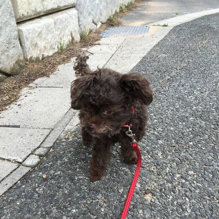 A7bff186 fdbc 4fd9 800b c407769c825d