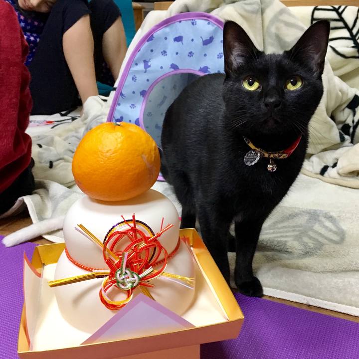 A7bff1ff a7c3 4327 a790 65cf6c539e30