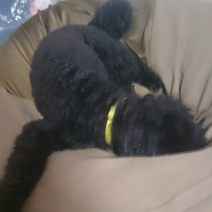 A7c00115 8c44 4471 86ff 51b1d7d3ebdf