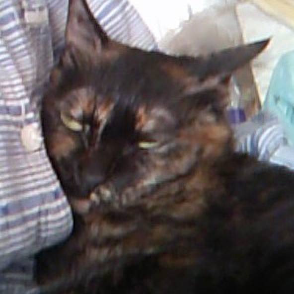 A7c071db 5116 4330 a887 e85ecb0b40af