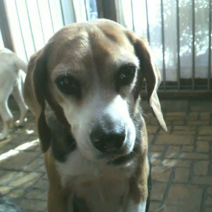 A7c0d4ca 7fbe 4696 aad2 71b339a0b0b1