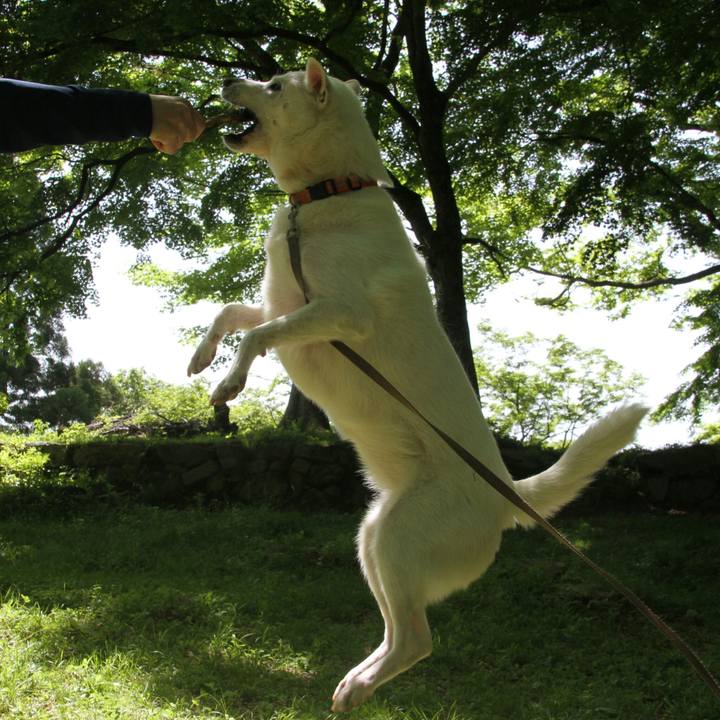 A7c173f1 d67c 418b 86f3 783aa7dc387a