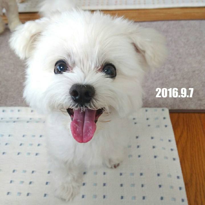 A7c1f58f bb2a 4331 9e49 dfe2b897652e