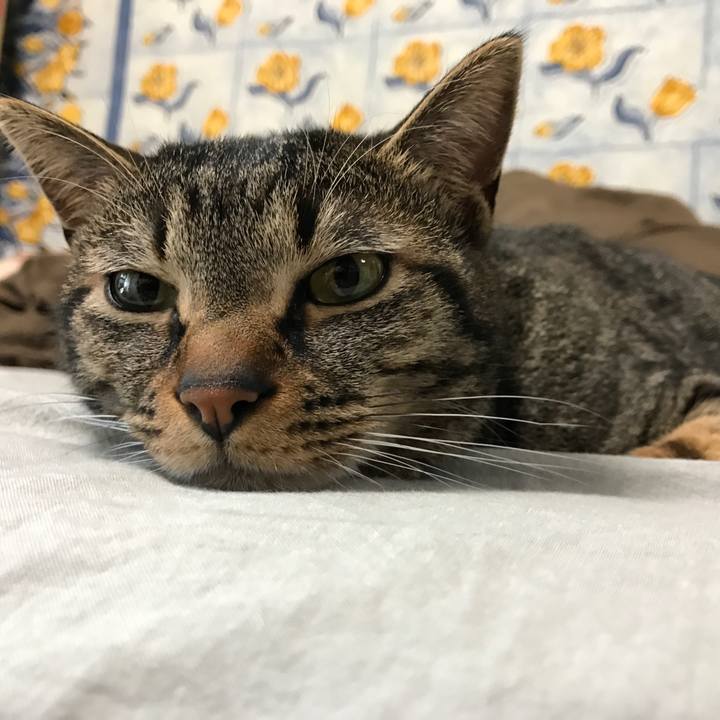 A7c21a26 ddc5 4b5c a9da 6723f64bd6fc