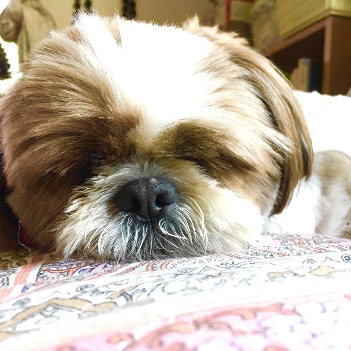 A7c26280 2803 4678 ad46 0e9d8465a424