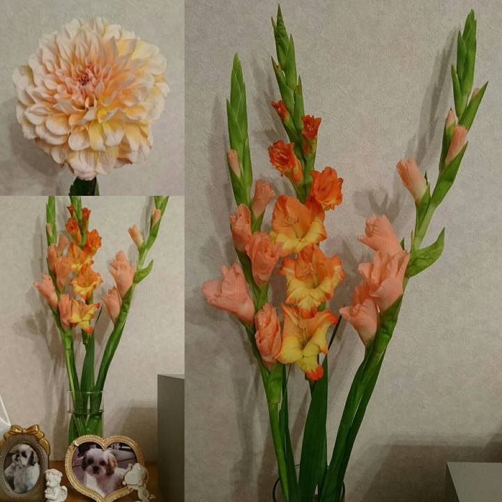 A7c45761 4974 4961 9f74 acc39aa7bde9