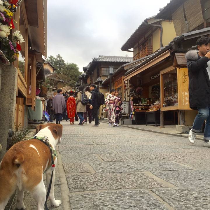 A7c465ac 8b13 4018 92d9 daca5b98bb9e