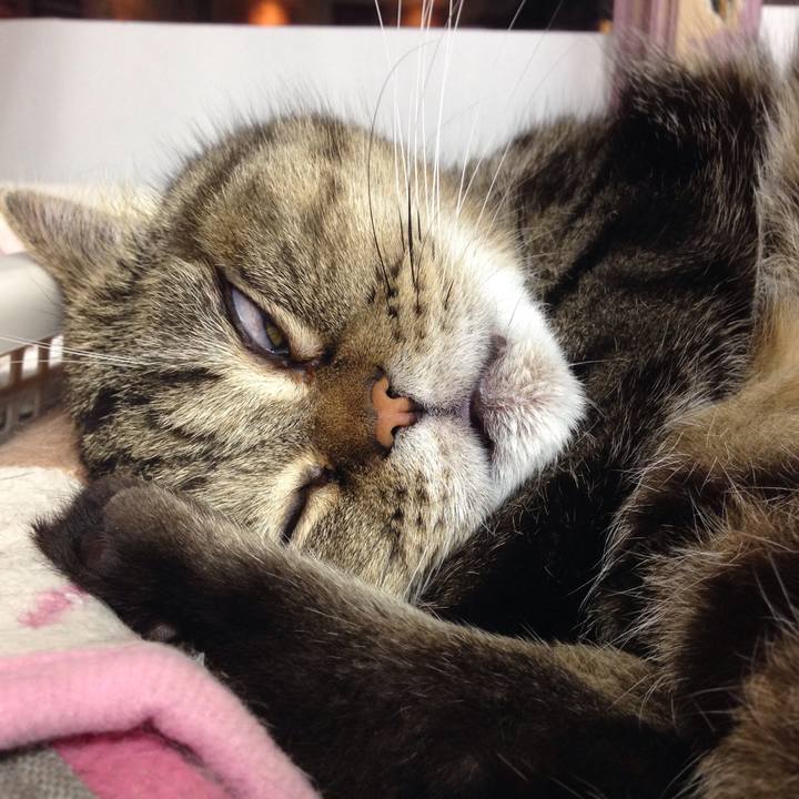 A7c4696d 11cd 4018 b257 ff114cf112f3