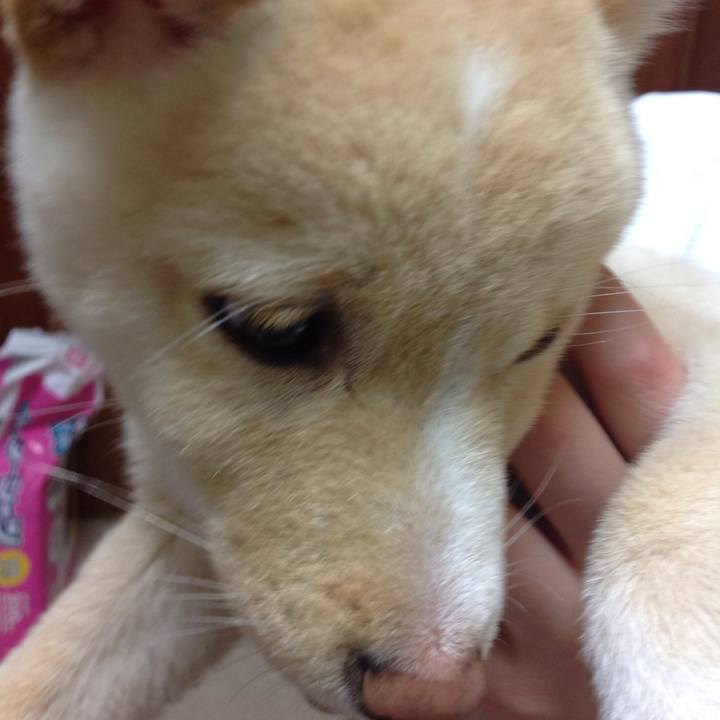 A7c4d5c9 3716 4e70 ad5b a271b0ec1143