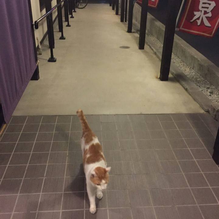 A7c647d8 dd6f 48bf 8bb2 7920af43ea95