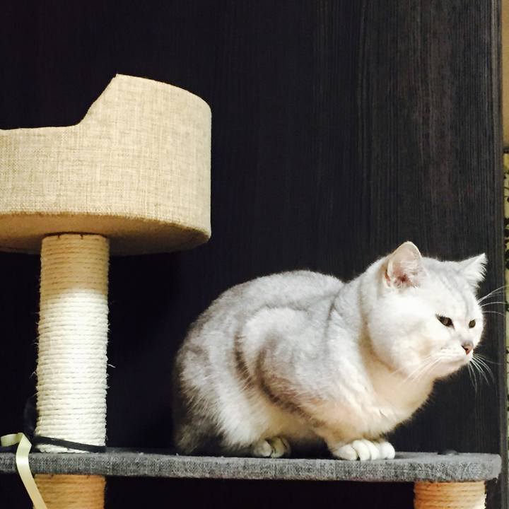 A7c68cfb 5b44 44fe be2c be71ab1022af