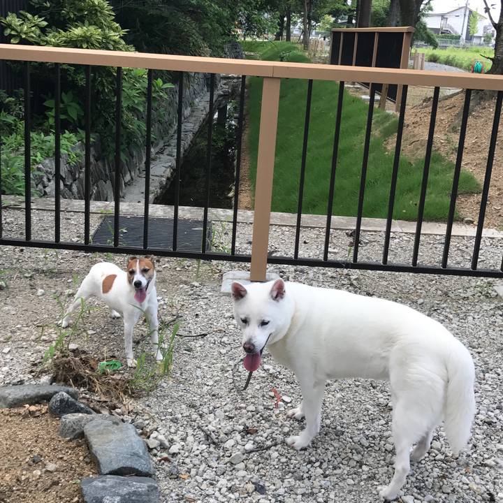 A7c7b480 f656 4367 a84f 92aca570c0d1