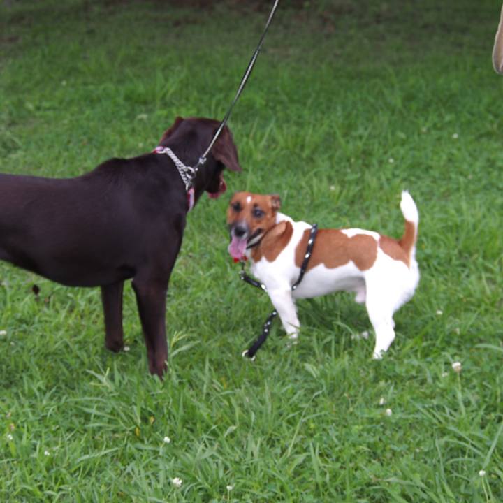 A7c81471 44cd 4b18 9a7a 8487fe426871