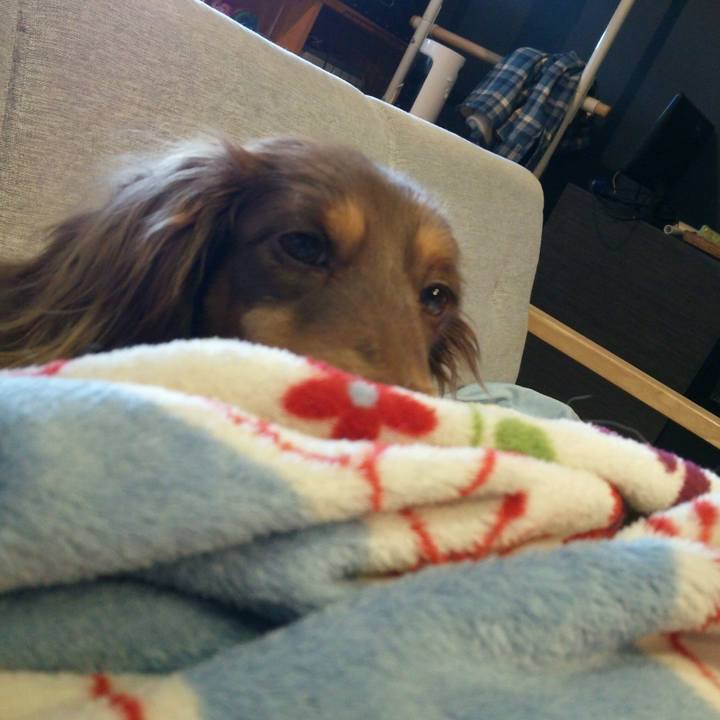 A7c8df70 f2d5 4004 8813 202f78d357b3