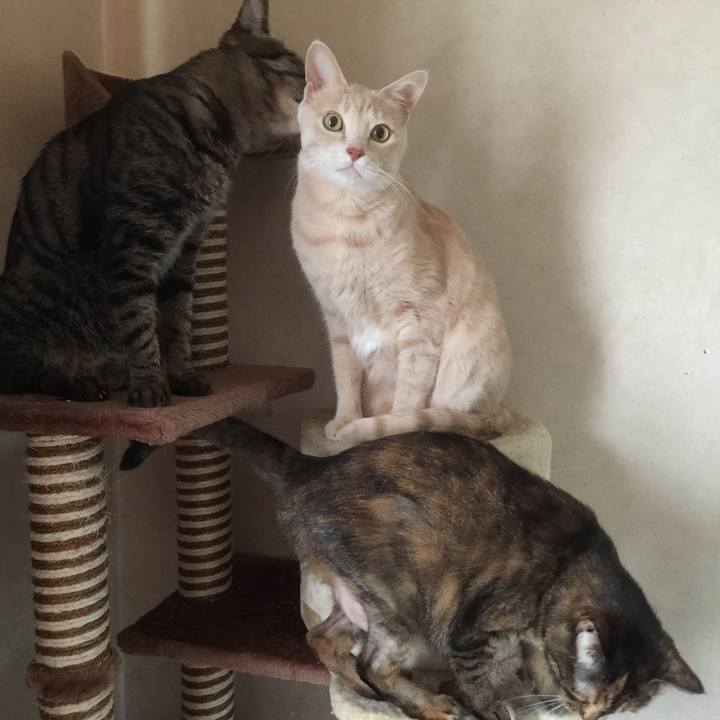 A7c920cb 16e6 403f 8356 08db2f51060e