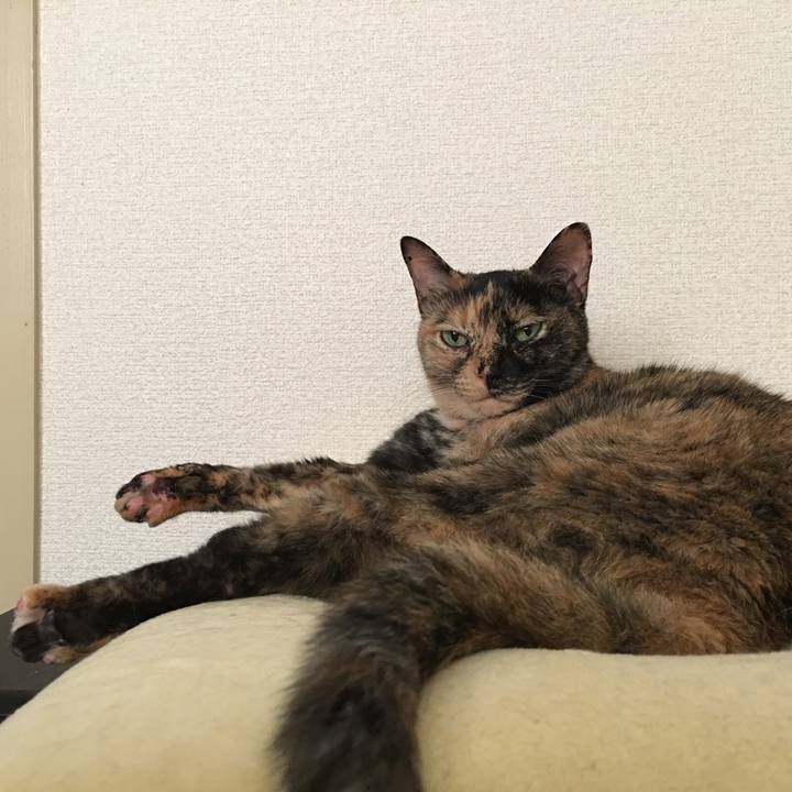 A7c988f3 6b71 4d2d 90c4 a450bcf6b23c