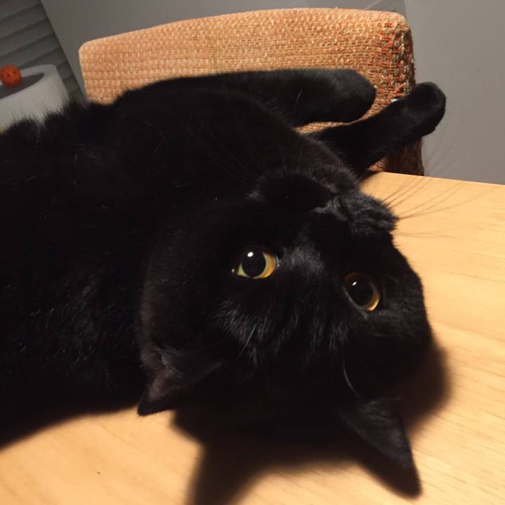 A7c997ac cb07 4037 8755 f07847fdc568