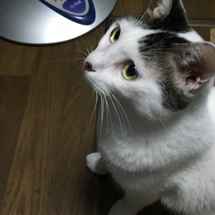 A7cae4a2 c62e 4015 abea d125d32e11ed