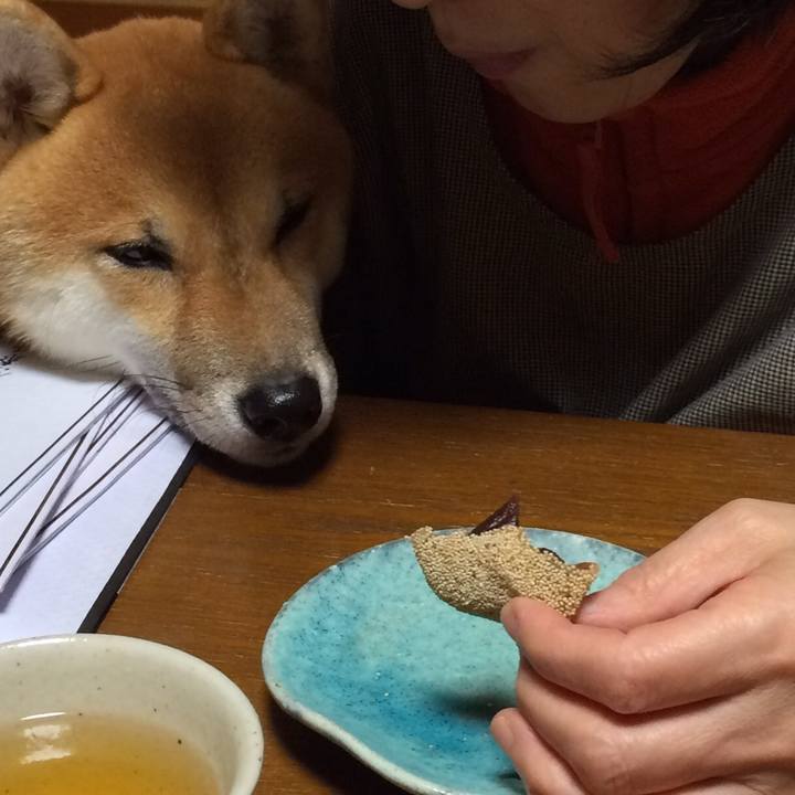 A7cbb057 af80 44a9 9bc8 336c102a3a91