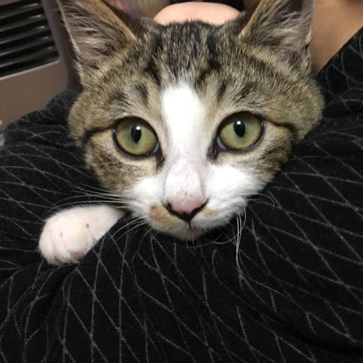 A7cbb9fb 0284 4043 aa00 d02a486c15f7