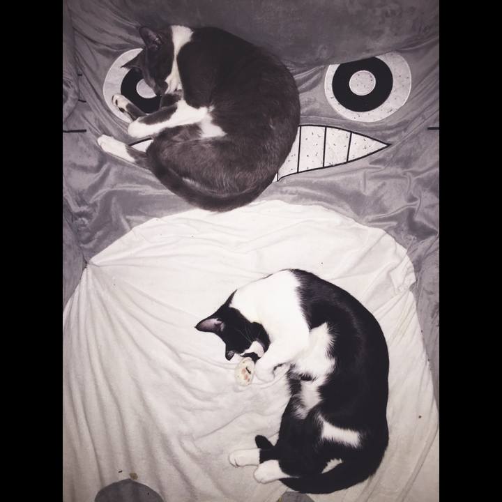 A7cbf398 aec6 43d6 8a34 afdc6cd09659