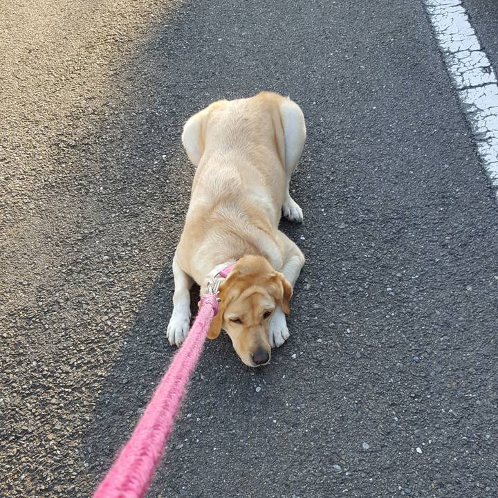 A7cc1541 05fd 4d22 8983 f8e24184434d