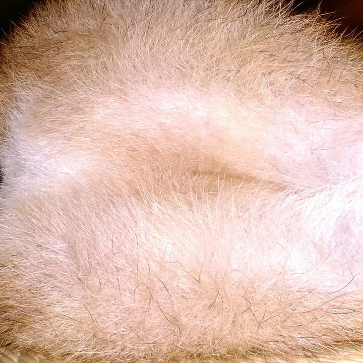 A7cc2138 9ed2 4aea 94d4 0ca682227a03