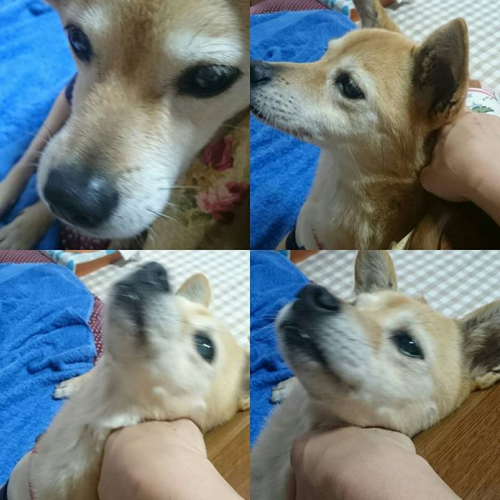 A7cc978e 2fc0 46c7 8110 a25ae5e6f459