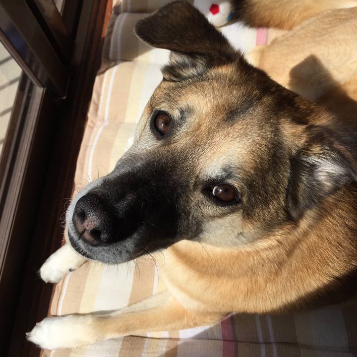 A7ccda77 e42a 4c52 a5d8 eac96380bf59