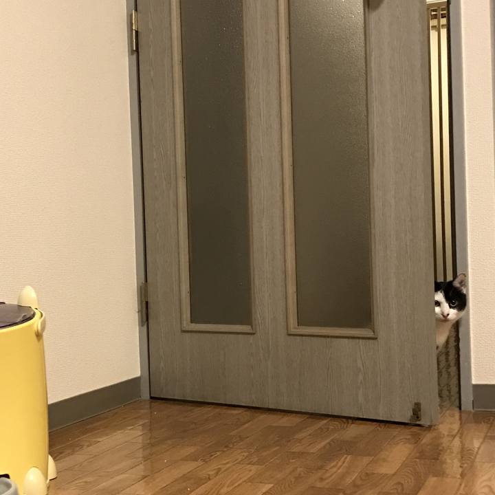 A7cd0041 75ae 43f9 84e0 4c2c14cb892e